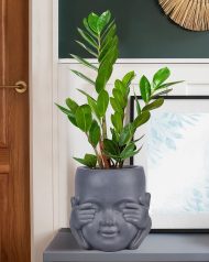 KID-FP-ONE-LG-24 Настольное кашпо IDEALIST LITE Голова малыша-монаха файберстоун, серое Д24.5 Ш23.5 В24 см