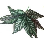 Искусственный Куст сансевиерия плетеная