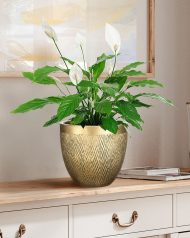 MESHR26-GLD Настольное кашпо IDEALIST LITE Лотус, круглое, золотое, Д26.5 В24.5 см