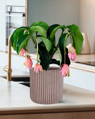 RVS-RND-25-BRN Настольное кашпо IDEALIST Lite Урбан, круглое, кофе с молоком Д25.5 В25 см