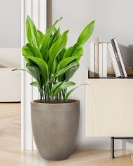 MESHRV28-T Напольное кашпо IDEALIST LITE Лотус Высокое, круглое, серо-коричневое, Д28 В33.5 см