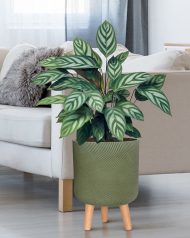 FLORL35-GRN Настольное кашпо IDEALIST LITE Флоу Ваза с подставкой, зеленое, Д24 В35 см, высота ножек 11 см
