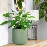 FLOR24-GRN Настольное кашпо IDEALIST LITE Флоу Ваза, зеленое, Д24 В24.5 см