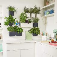 13398 Комплект Green Wall Home Kit Color Белый с системой автополива — изображение 3