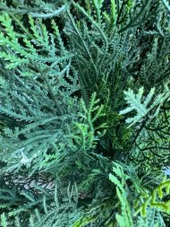 Искусственное дерево Туя Элегант  мидл 120см — изображение 15
