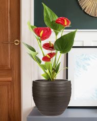 ROWR27-B Настольное кашпо IDEALIST LITE Роу, круглое, коричневое, Д27 В25.5 см