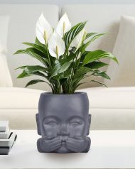KID-FP-THREE-LG-24 Настольное кашпо IDEALIST LITE Голова малыша-монаха файберстоун, серое Д23.5 Ш23 В24 см