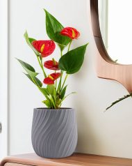 VELRV22-LG VELRV22-GR Настольное кашпо для цветов IDEALIST Премиум Велюр, круглое, Д22 В22 см, светло-серое, 7 литров