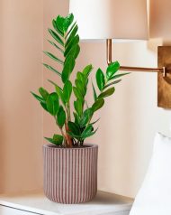 RVS-RND-25-BRN Настольное кашпо IDEALIST Lite Урбан, круглое, кофе с молоком Д25.5 В25 см