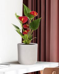 RVS-RND-25-AW Настольное кашпо IDEALIST Lite Урбан, круглое, белое Д25.5 В25 см