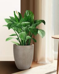 MESHRV28-T Напольное кашпо IDEALIST LITE Лотус Высокое, круглое, серо-коричневое, Д28 В33.5 см