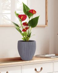 SFER24-GR Кашпо настольное IDEALIST Lite Сфера, серое, Д24 В24 см