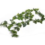 Искусственная лиана Зебрина
