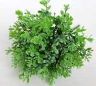 Искусственная ветка самшит декоративный — изображение 2